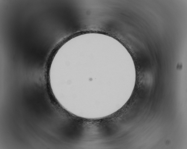 X0000103940680200809261726