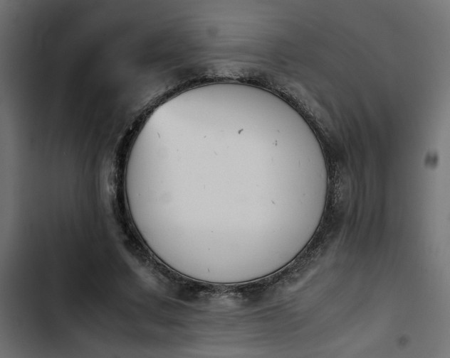 X0000103940683200809261726