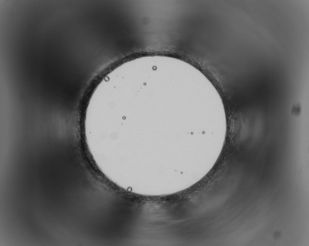 X0000103940684200809261726