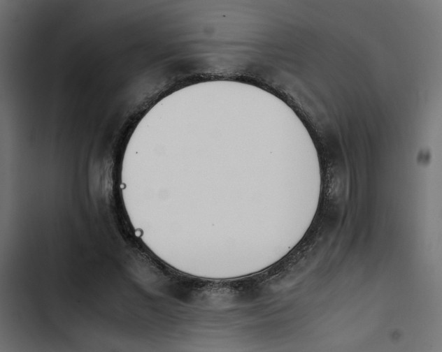 X0000103940685200809261726