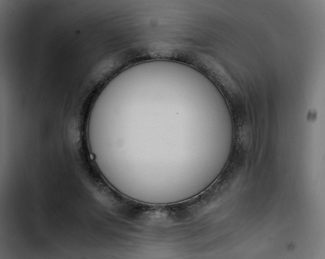 X0000103940687200809261726