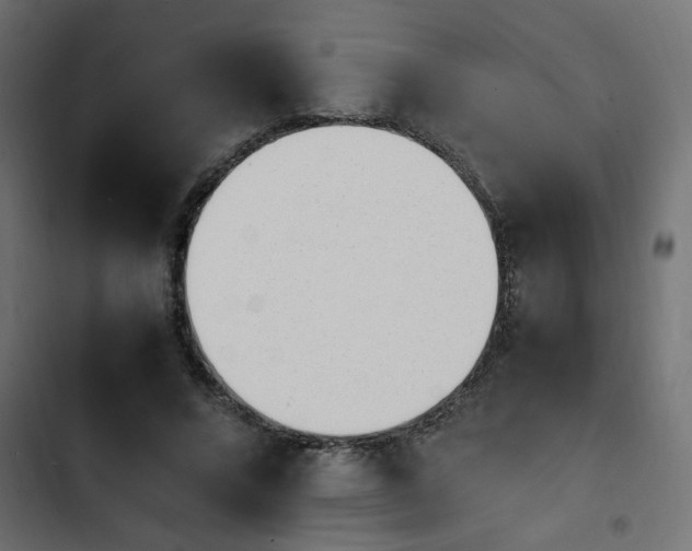 X0000103940688200809261726