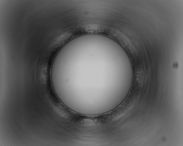 X0000103940690200809261726