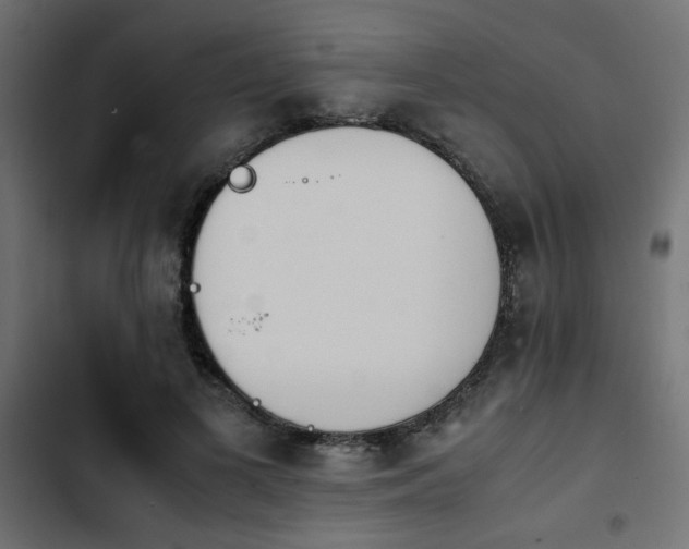 X0000103940693200809261726