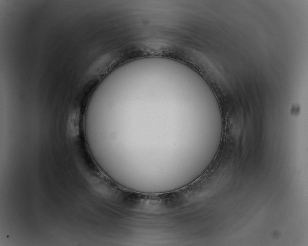 X0000103940694200809261726
