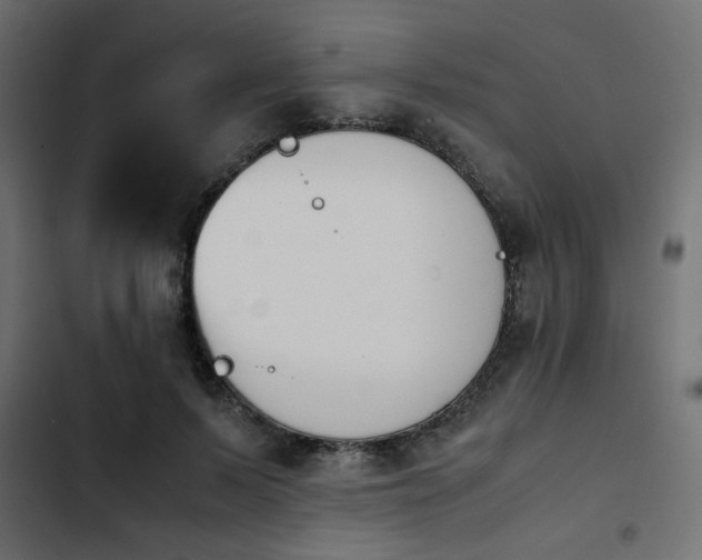 X0000103940695200809261726