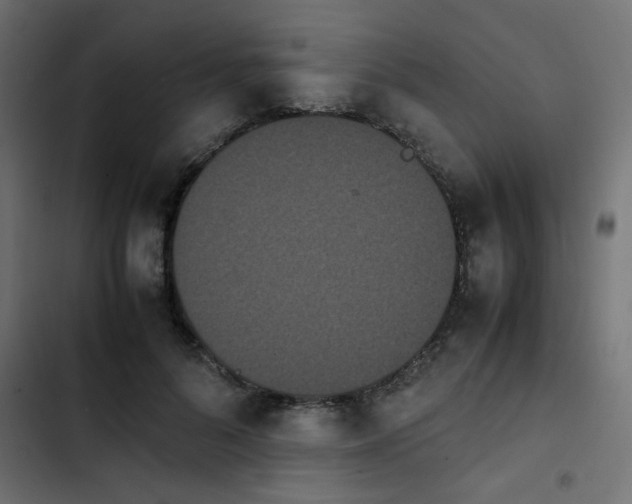 X0000103940696200809261726