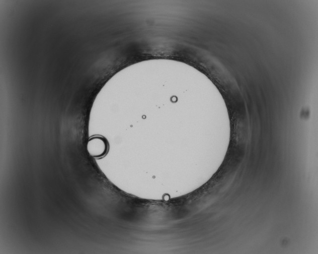 X0000103940697200809261725