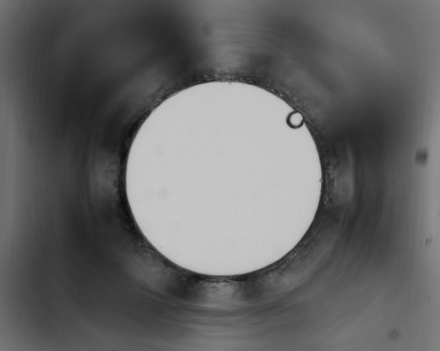 X0000103940698200809261725