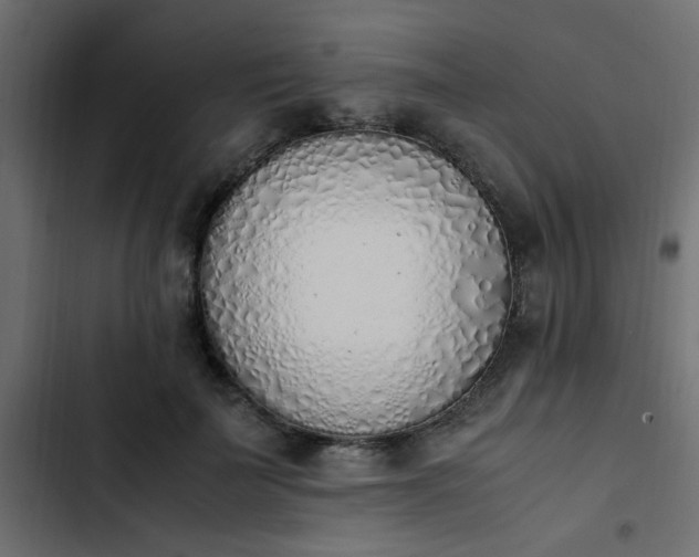 X0000103940699200809261725