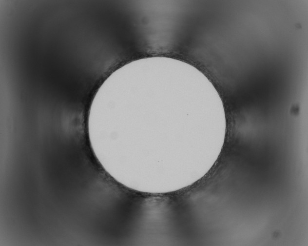 X0000103940700200809261725
