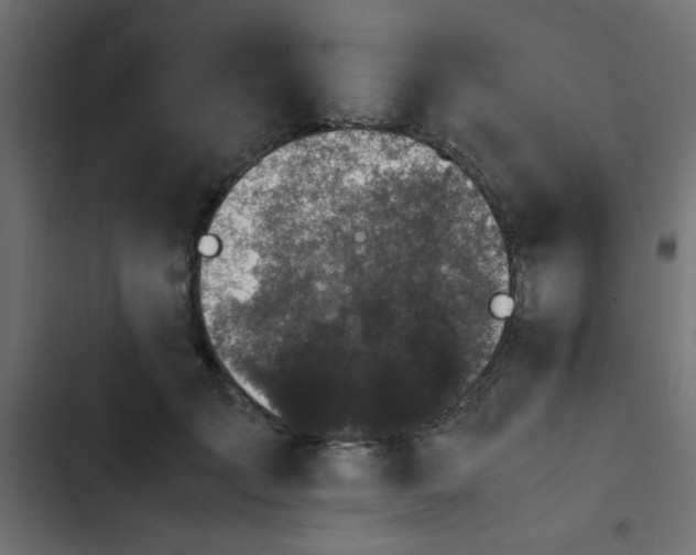 X0000103940701200809261725