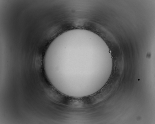 X0000103940702200809261725