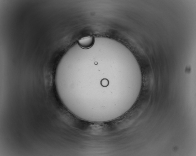 X0000103940703200809261725