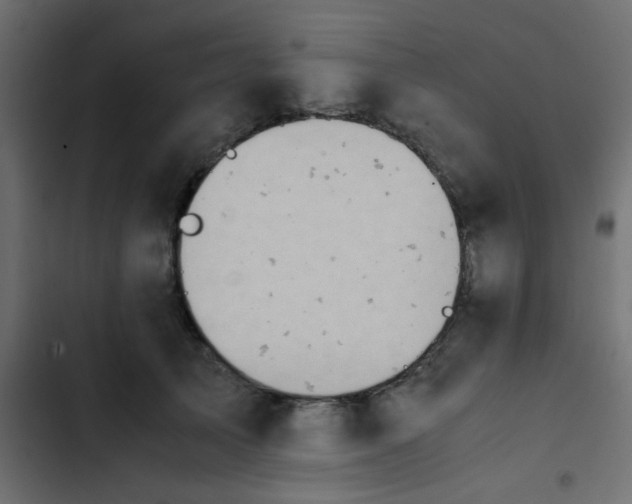 X0000103940705200809261725
