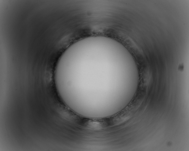 X0000103940706200809261725