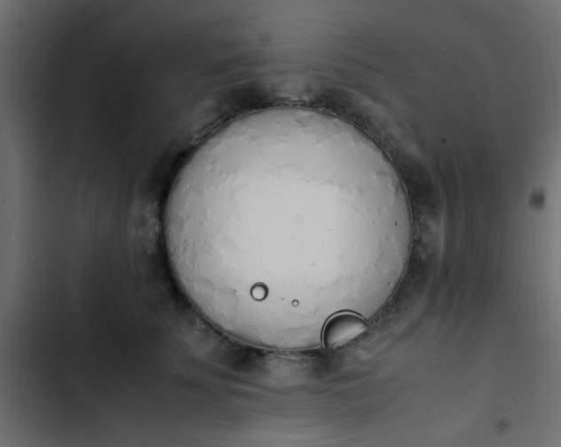 X0000103940707200809261725