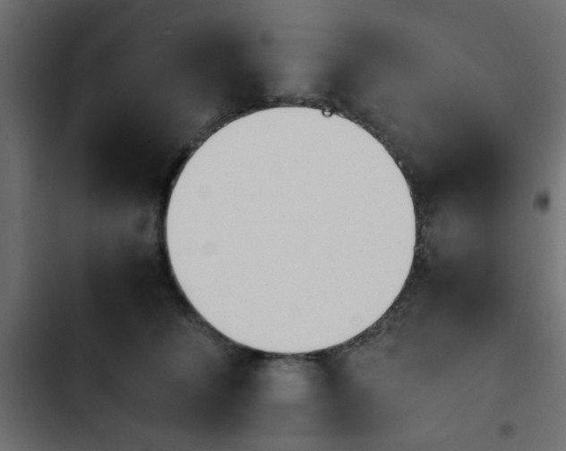 X0000103940708200809261725