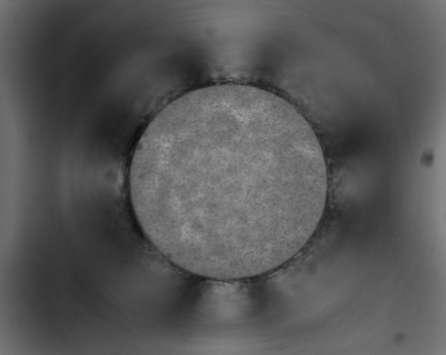 X0000103940709200809261725