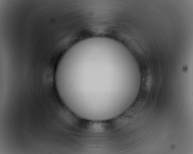 X0000103940710200809261725