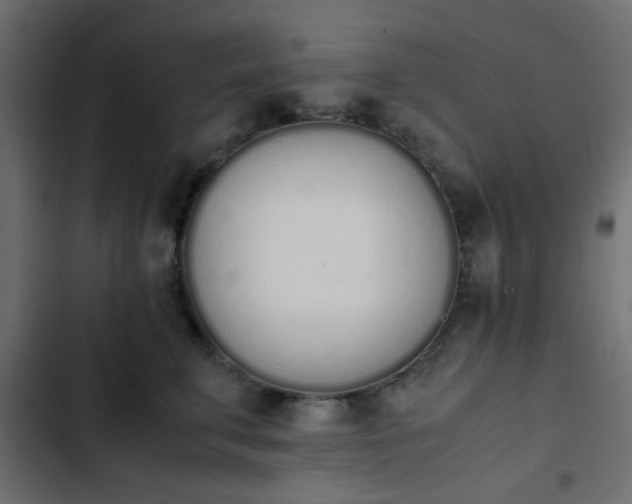 X0000103940711200809261725