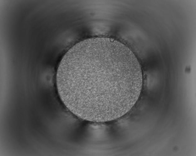X0000103940712200809261725