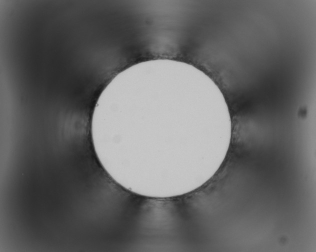X0000103940713200809261725