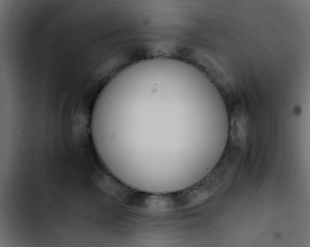 X0000103940714200809261725