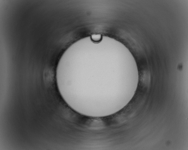 X0000103940715200809261725