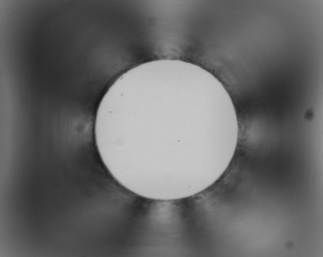 X0000103940717200809261725