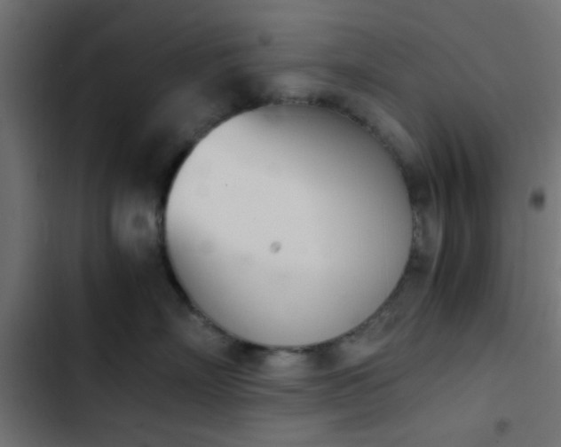 X0000103940718200809261725