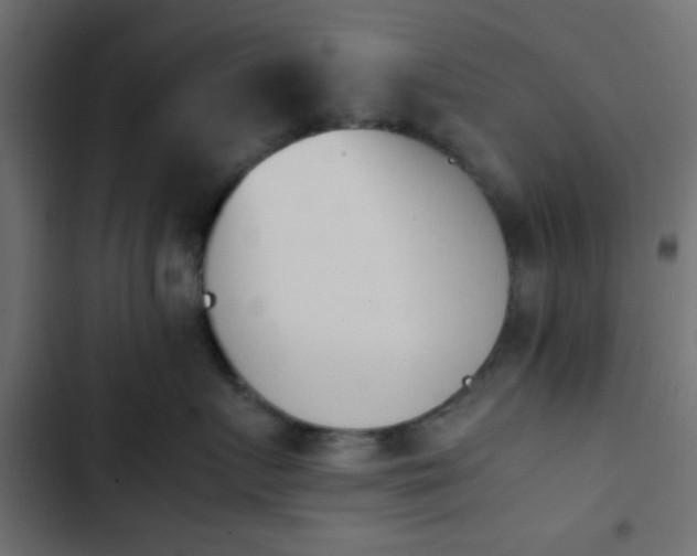 X0000103940719200809261725