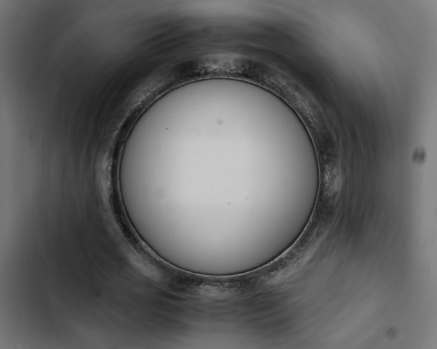 X0000103940725200809261725