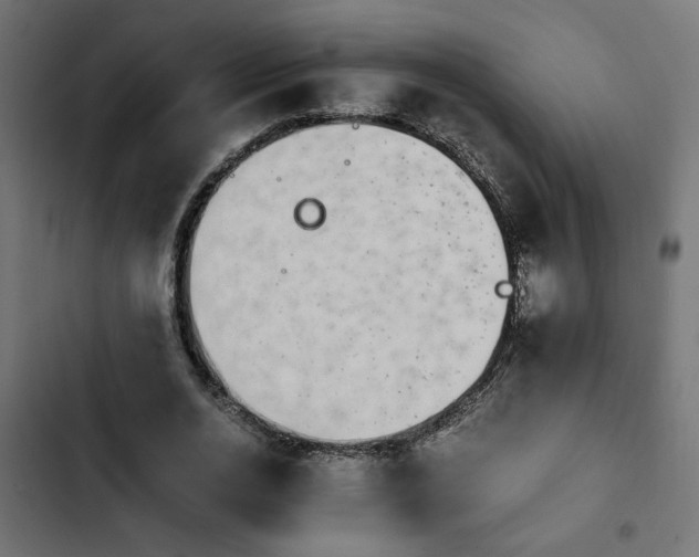 X0000103940726200809261725