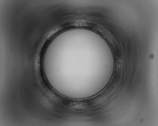 X0000103940727200809261725