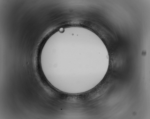 X0000103940728200809261725
