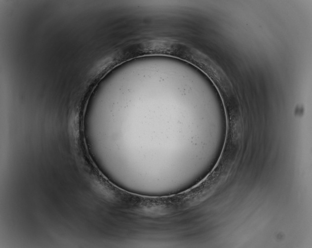 X0000103940729200809261725