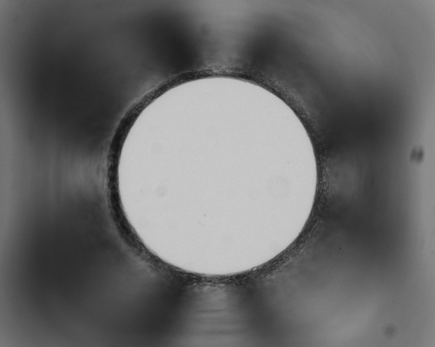 X0000103940730200809261725
