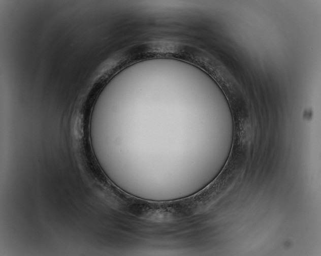 X0000103940731200809261725