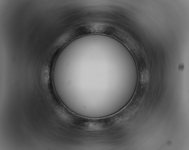 X0000103940733200809261725