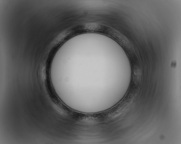 X0000103940734200809261725