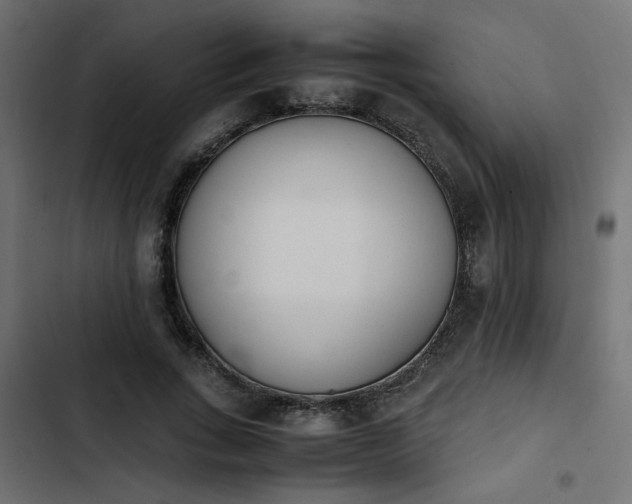 X0000103940735200809261725