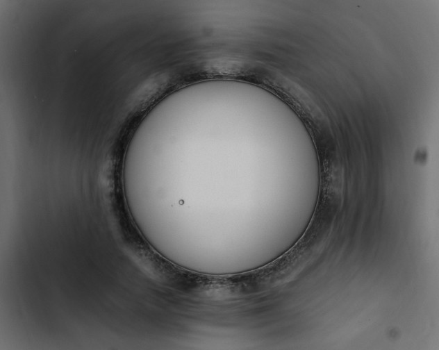 X0000103940738200809261725