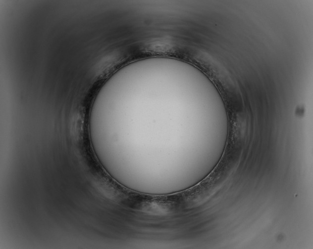 X0000103940739200809261725