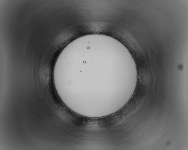 X0000103940740200809261725