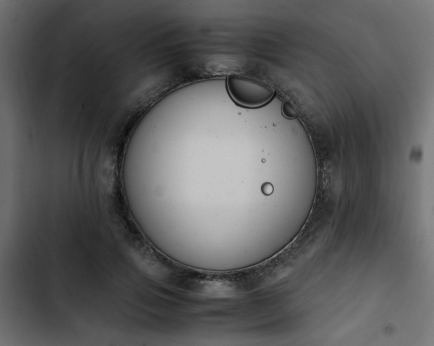 X0000103940741200809261725