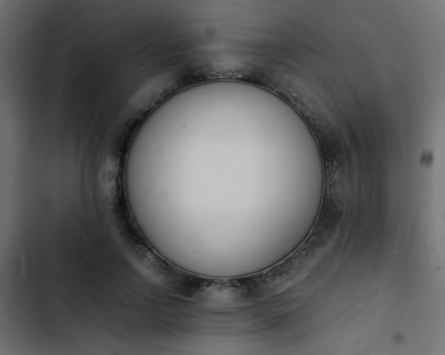 X0000103940742200809261725