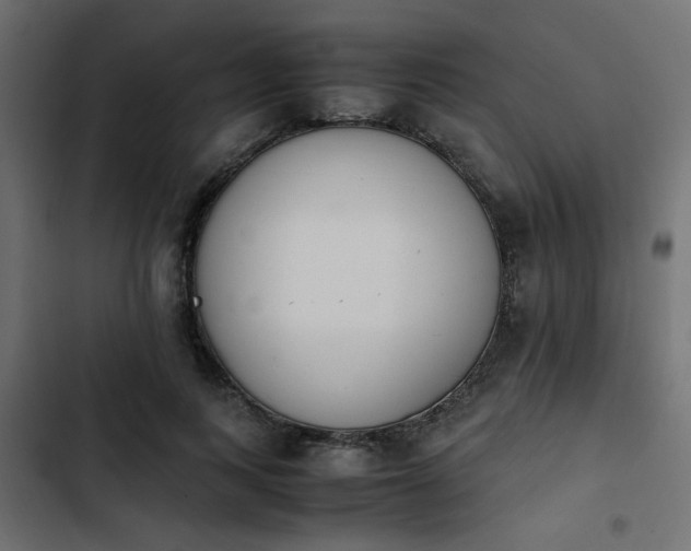 X0000103940743200809261725