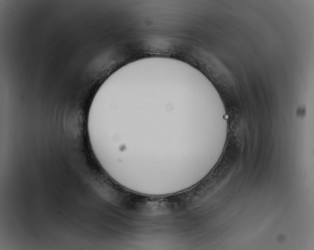 X0000103940744200809261725