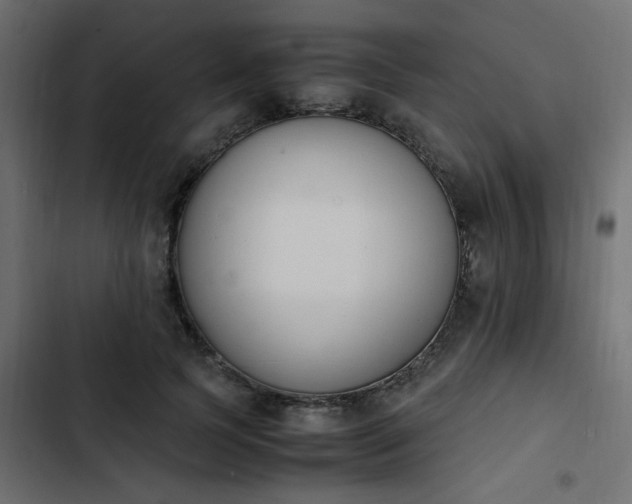 X0000103940745200809261725